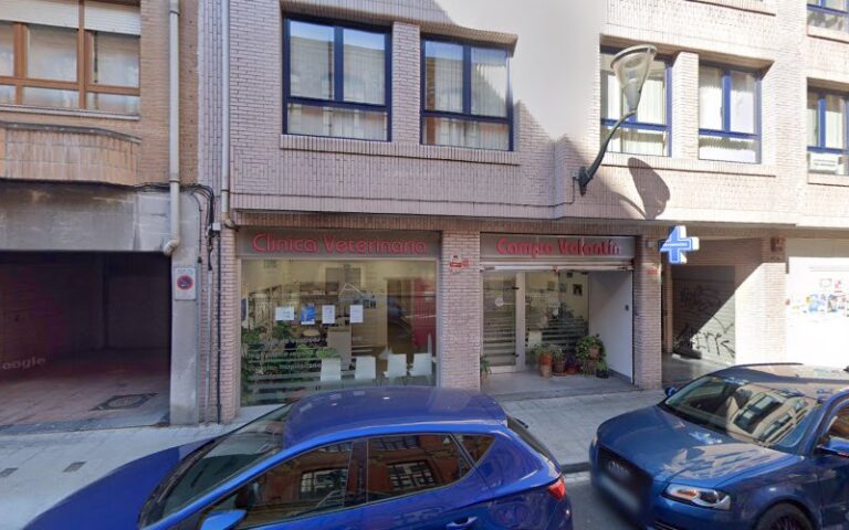 BIHOTZA Salud y Energia